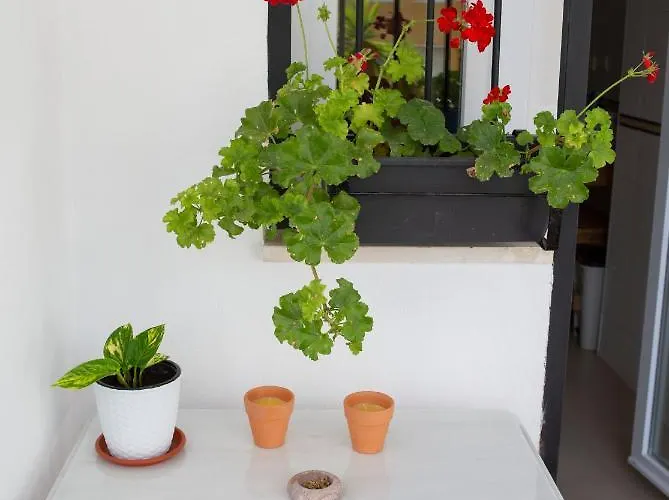 公寓 Sea View Apartment, Shared Pools, Estepona, 60 M²